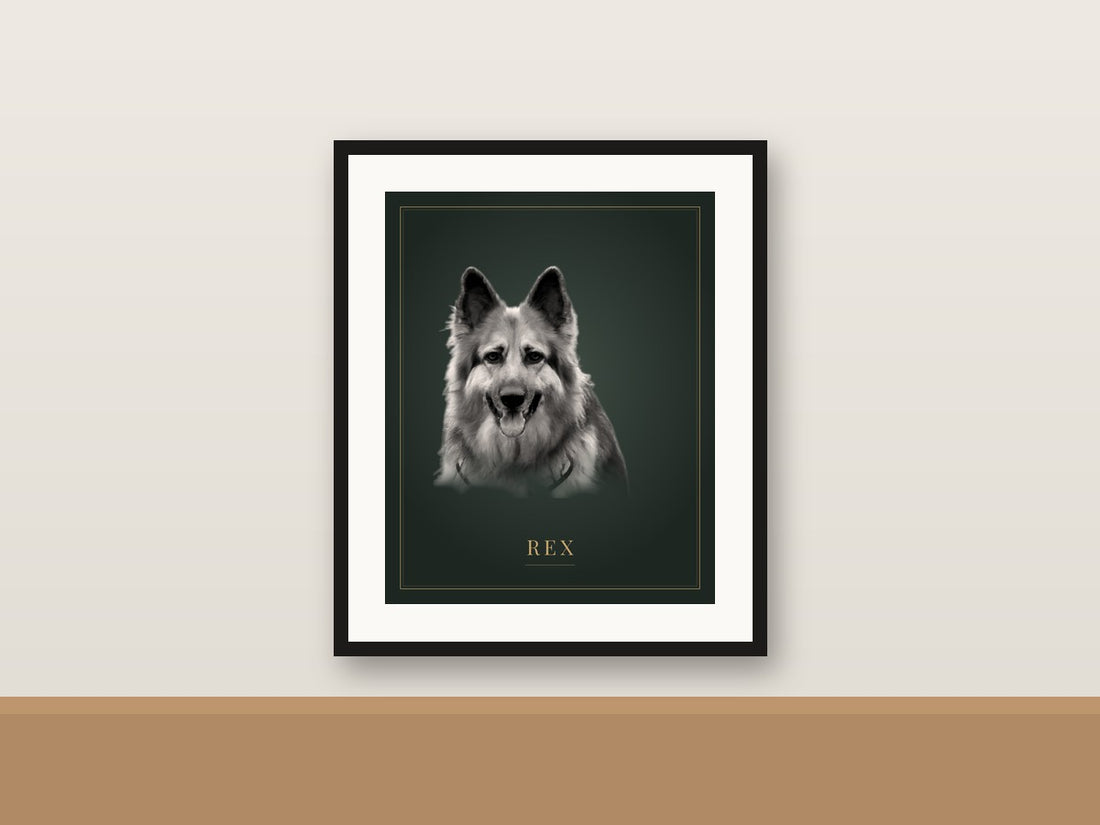 Classic Noir framed pet portrait