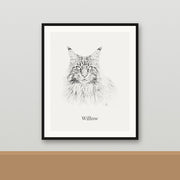 Pencil Sketch framed portrait of a Maine Coon cat named Willow