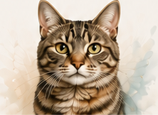 Cat portrait
