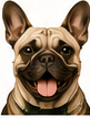 Happy dog portrait review