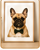 Custom framed French bulldog portrait
